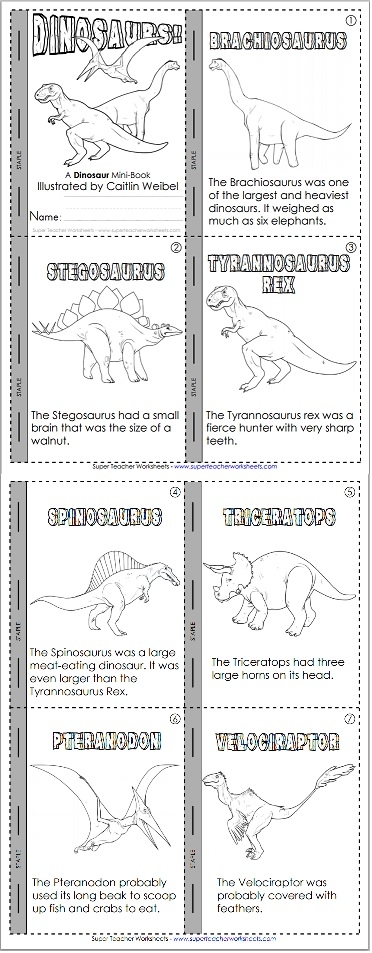 Dinosaur Fact Booklet
