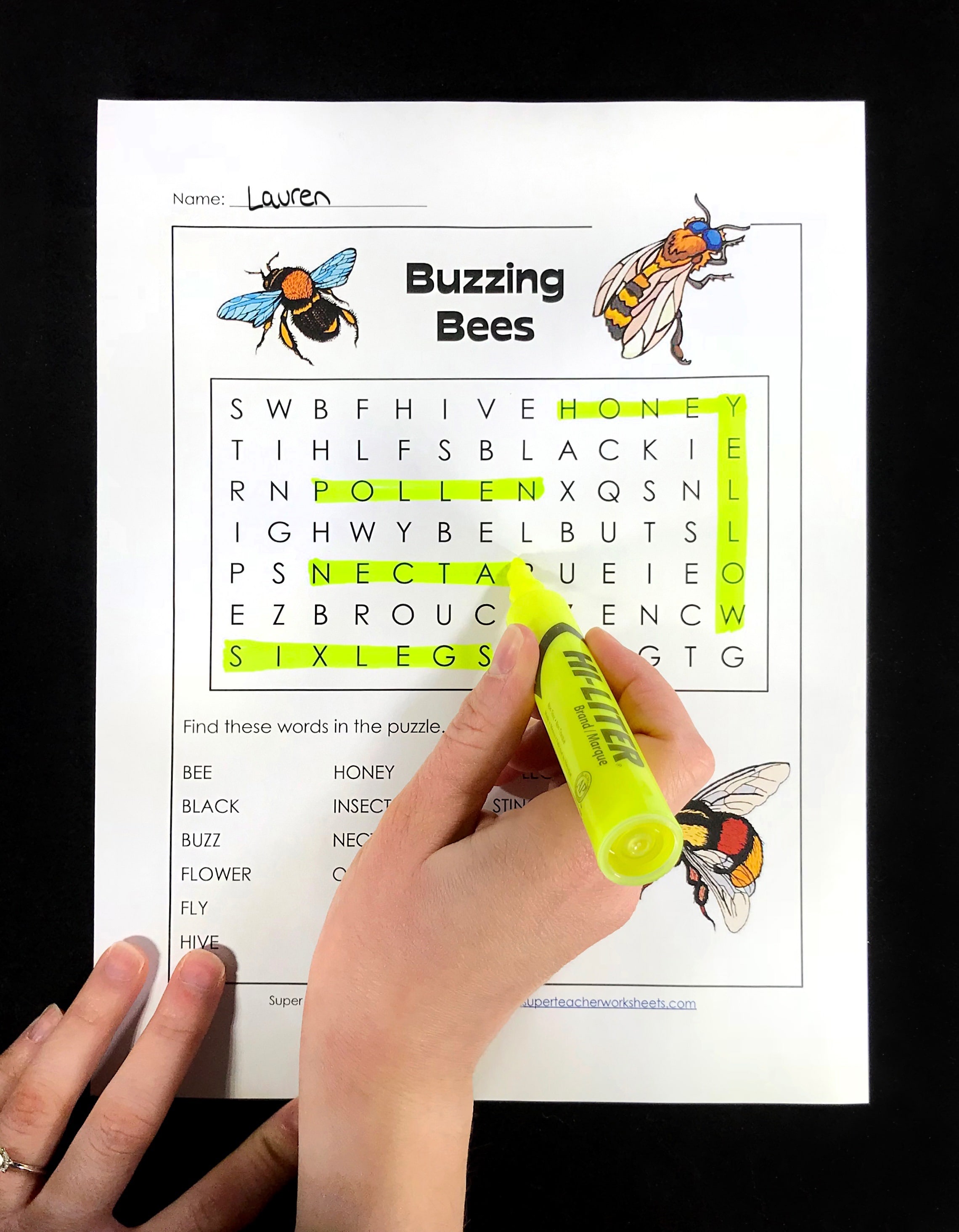 Word Search Activity