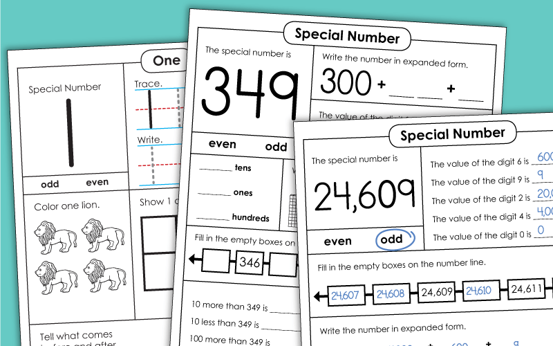 Special Number Worksheets