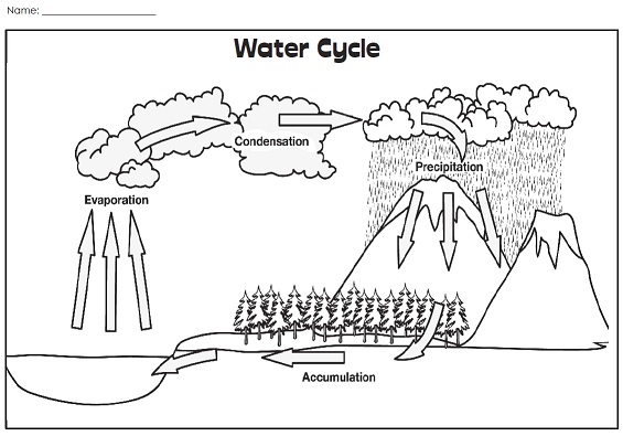 Water Cycle Picture