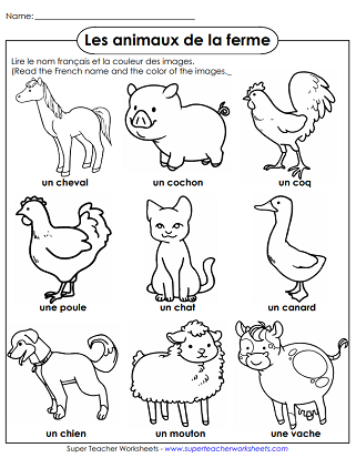 French Worksheets - Animals