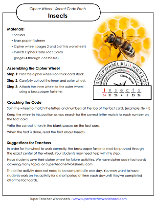 Insects Worksheets - Puzzles and Activities