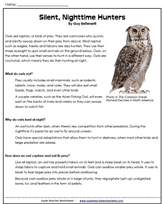 Owl Pellet Reading Worksheet