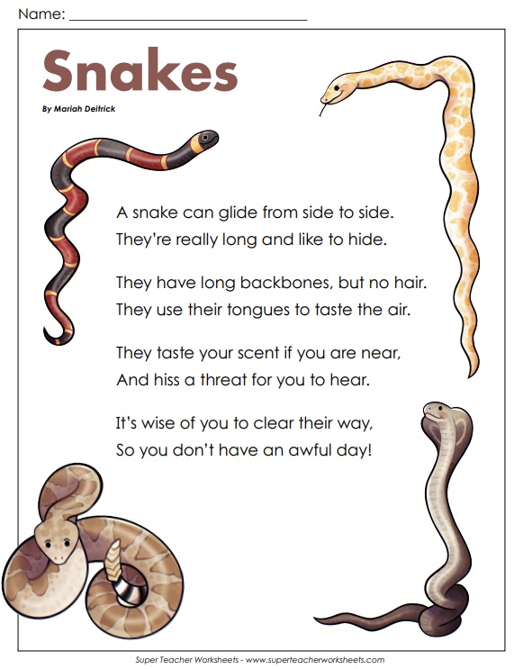 Snakes Poem 2nd Grade