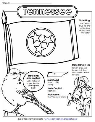 Tennessee Worksheets - State Symbols