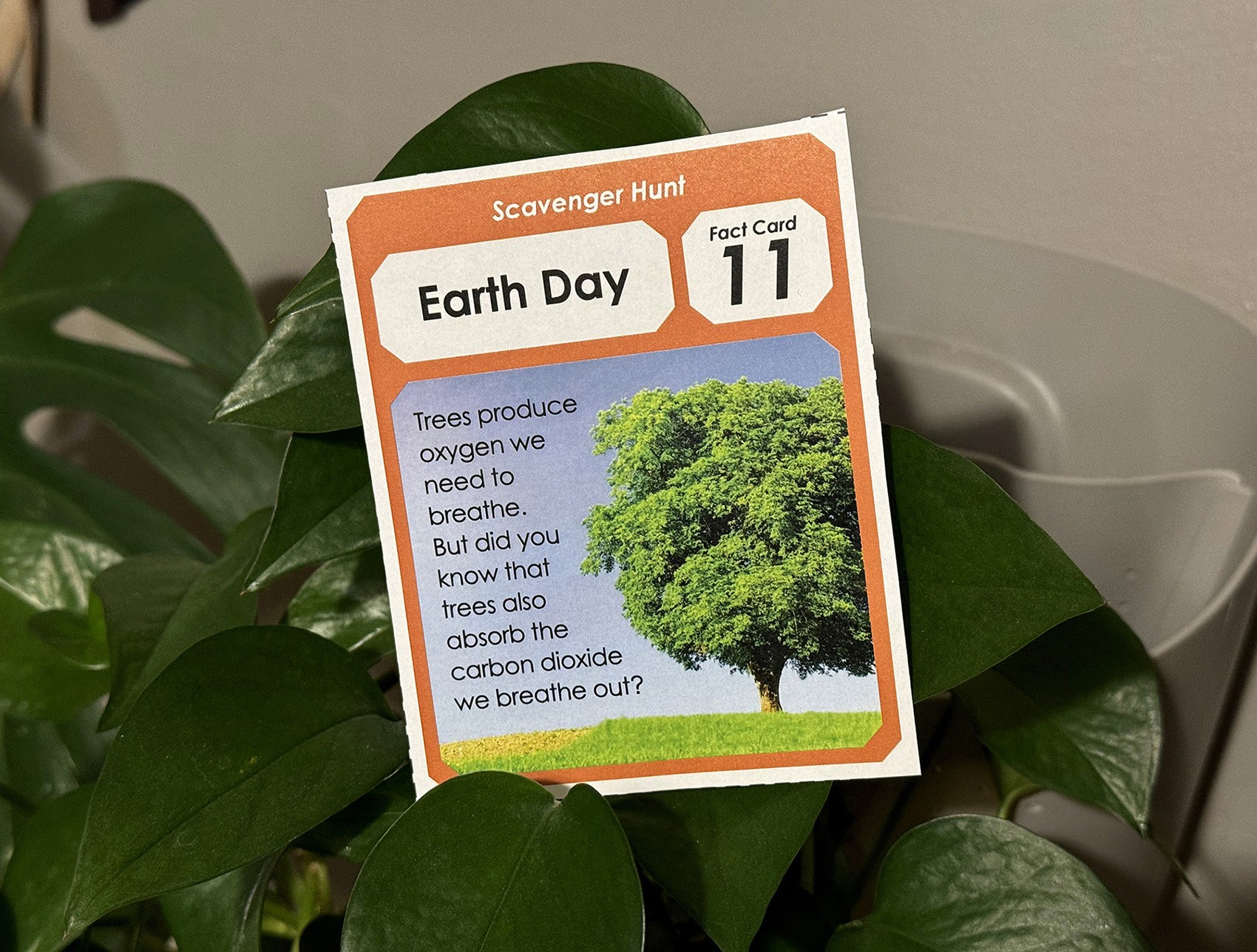 April Earth Day Activity