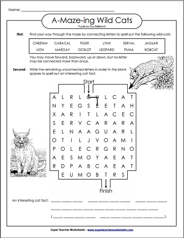 A-Maze-ing Wild Cats