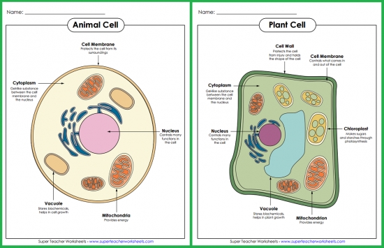 Parts of a Cell Posters