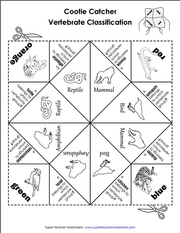 Vertebrate Cootie Catcher