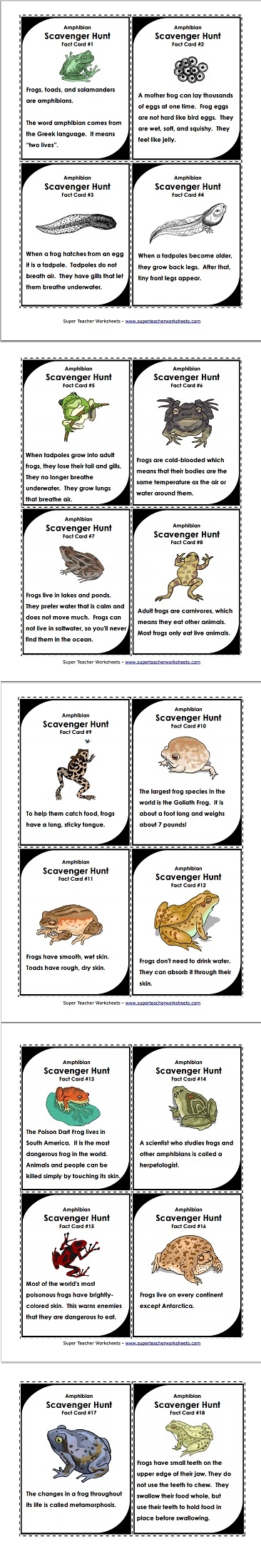 Frogs Scavenger Hunt