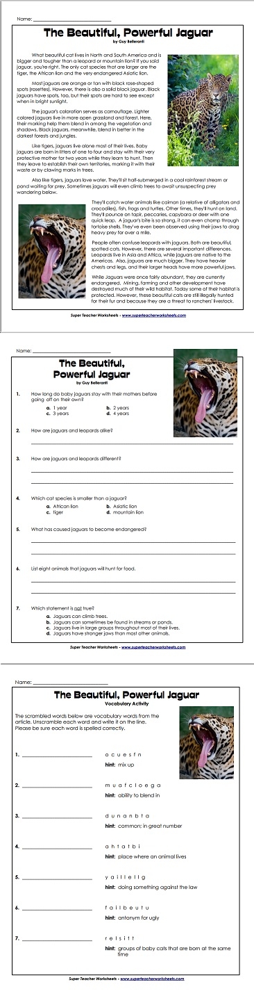 Jaguars - Reading Comprehension