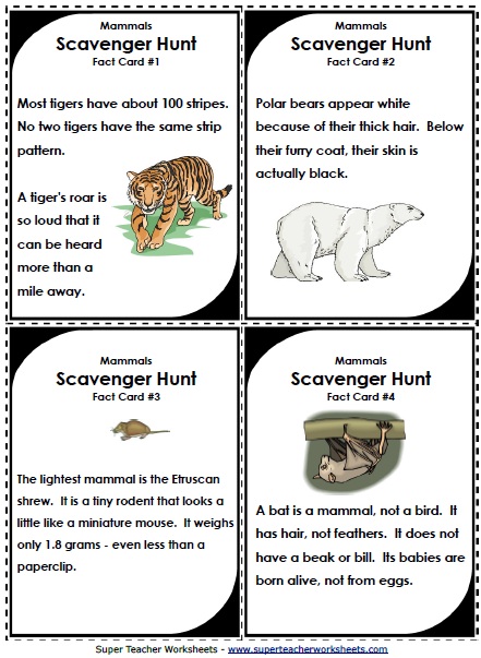 Science Scavenger Hunts for the Classroom