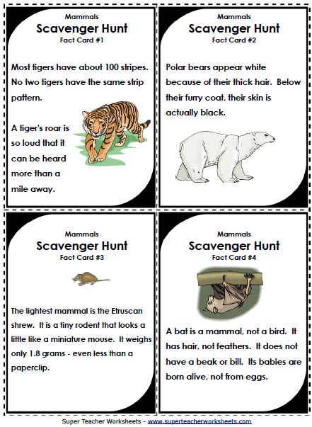 science animal worksheets