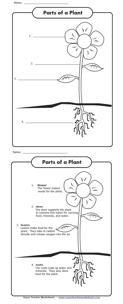 An Earth Day Worksheet