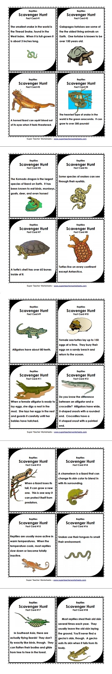 Reptiles Scavenger Hunt 