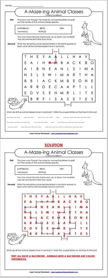 Vertebrates Word Maze