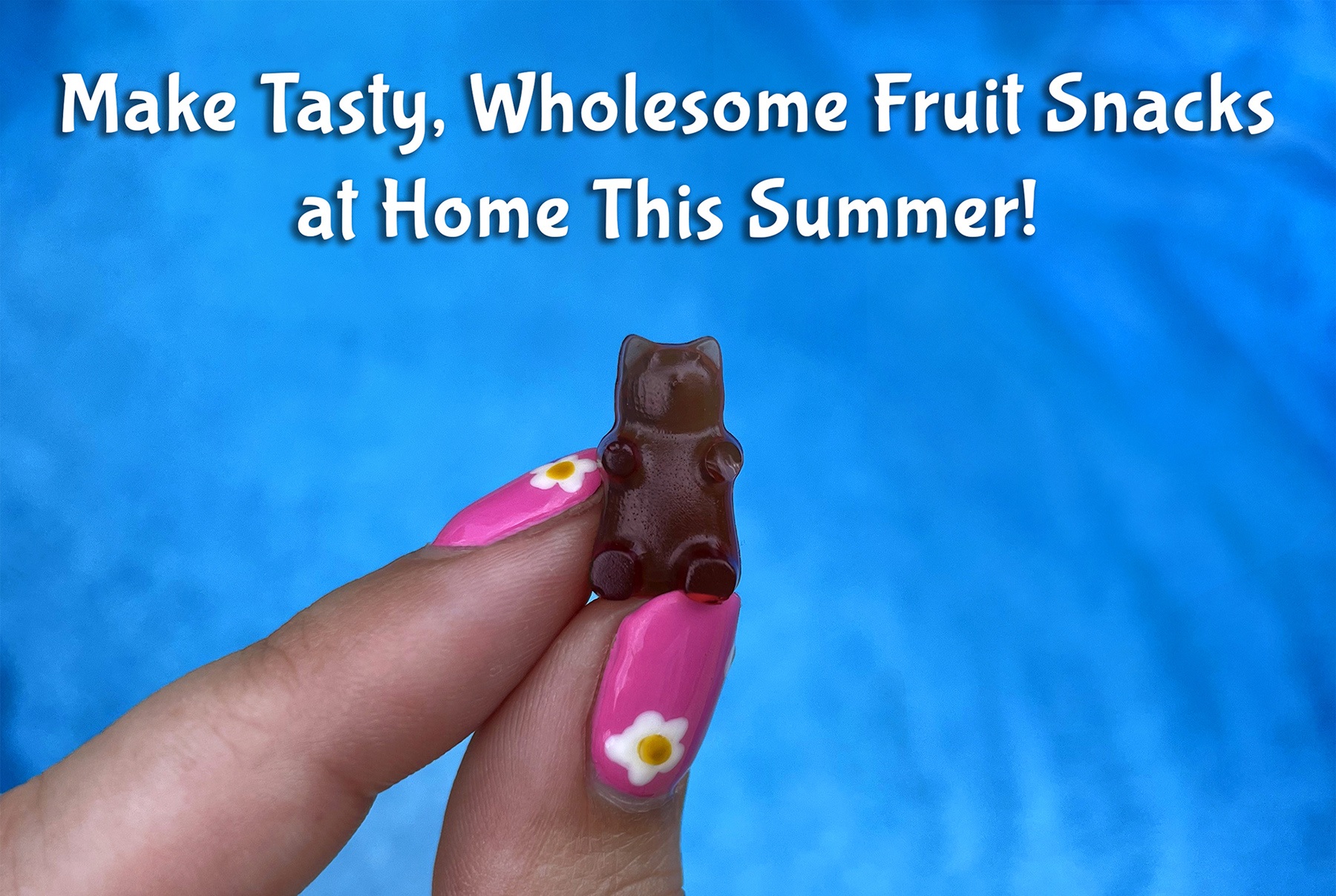 Healthy Homemade Fruit Snacks Recipe - Feels Like Home™