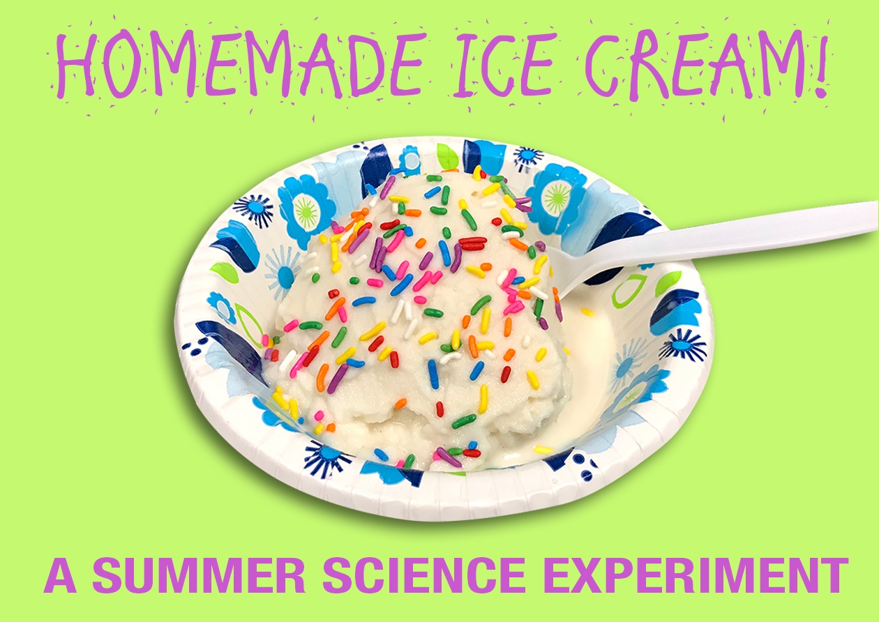 Learn How to Make Ice Cream!