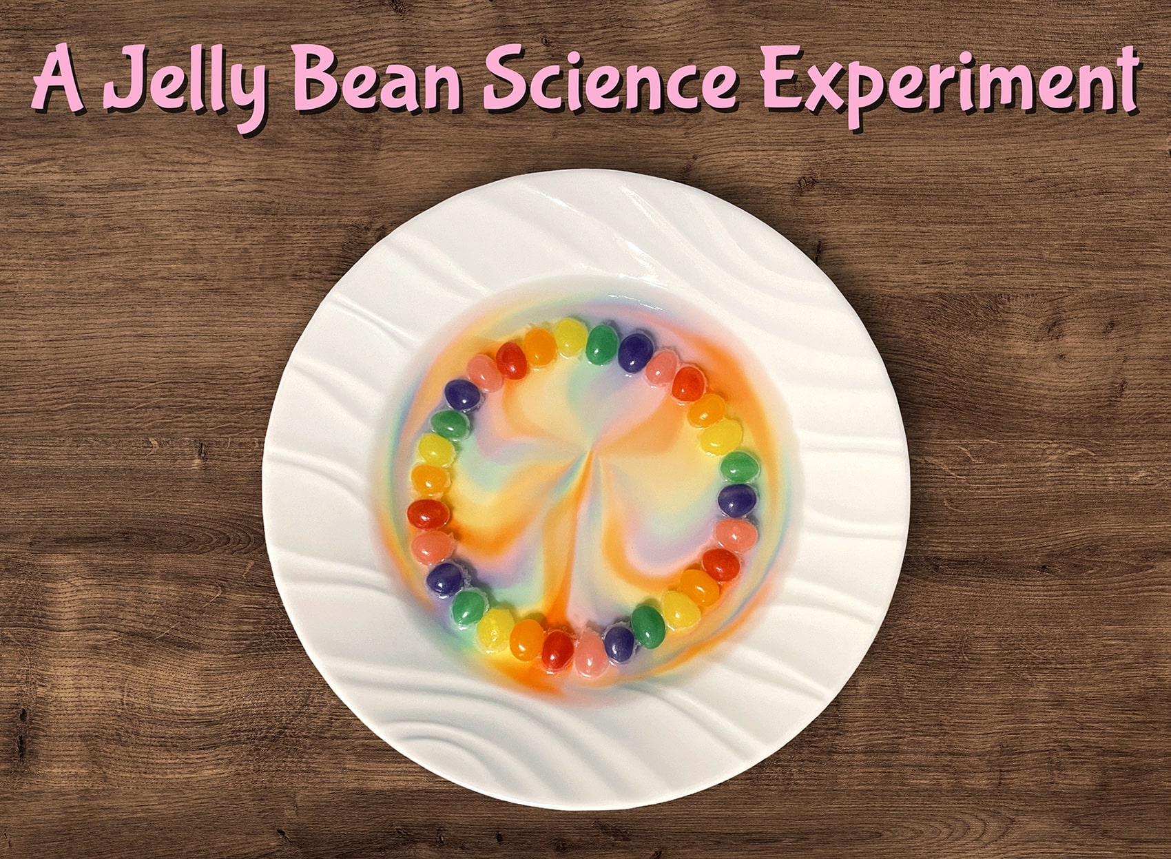Jelly Bean Science Project