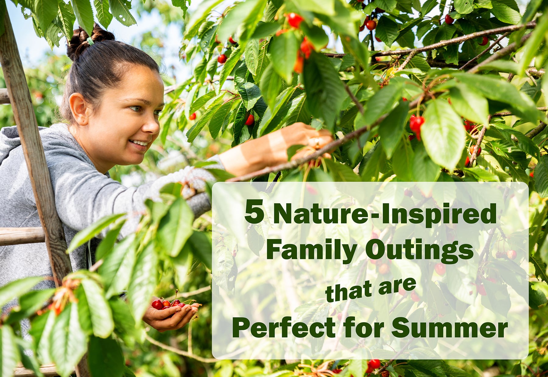 5 Summer Nature Activities for Kids