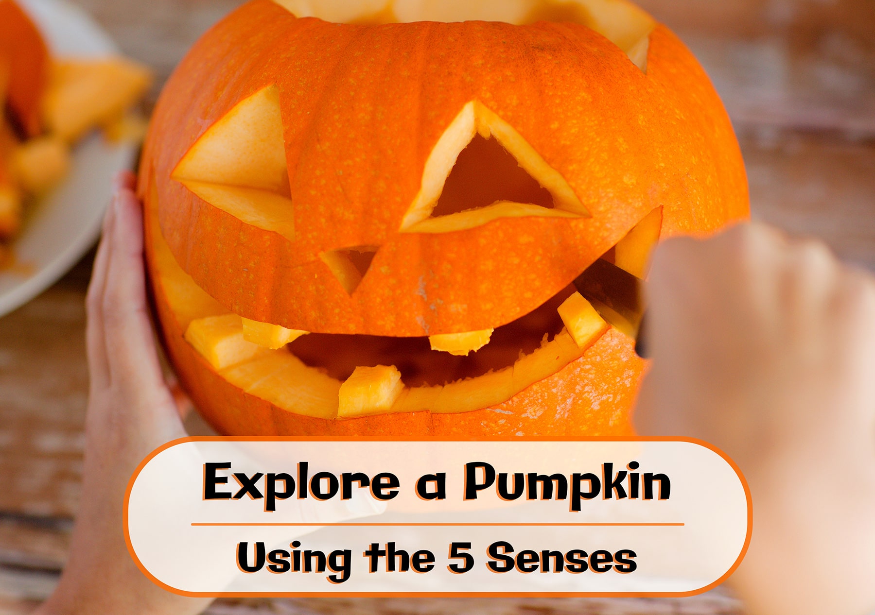 Pumpkin Five Senses Project
