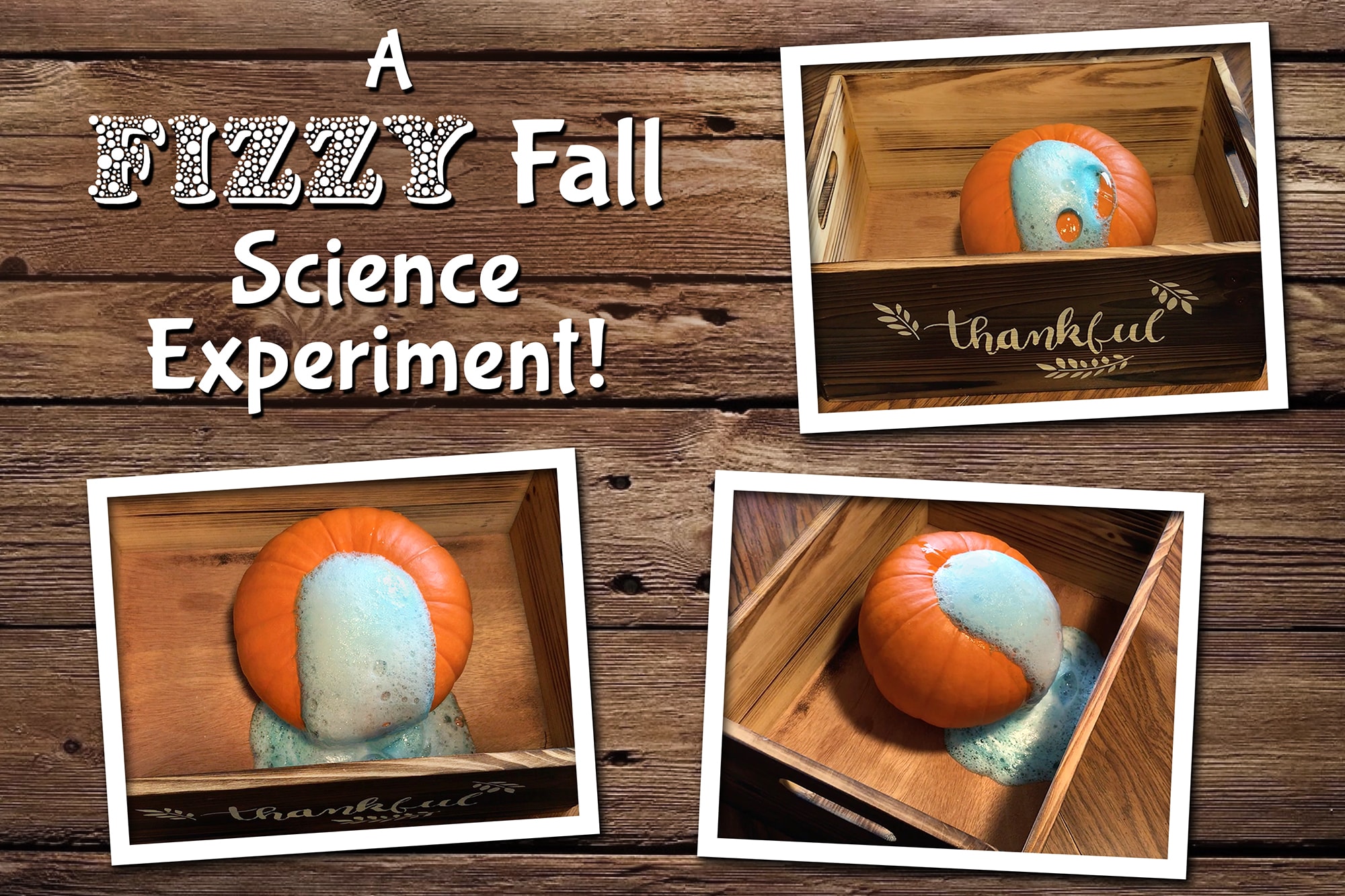 Pumpkin Volcano Science Activity 