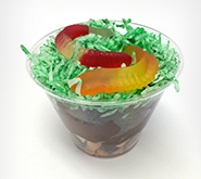 Soil Layers Snack  Preview