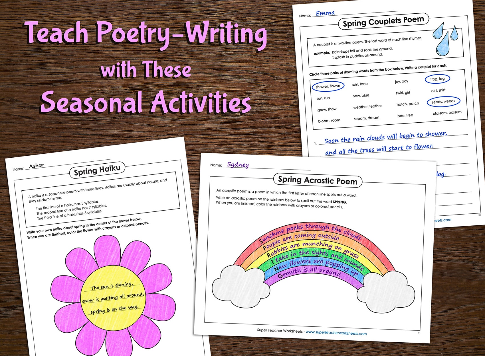 Spring Poetry Projects
