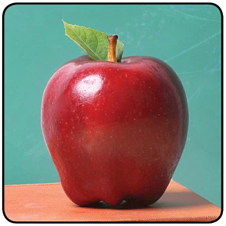 teacher apple