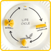 Butterfly Life Cycle Butterfly Life Cycle