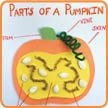 Classroom Pumpkin Activities