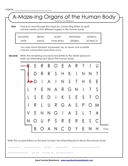 Puzzles - A-Maze-ing Human Body