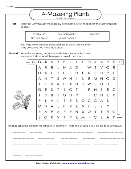 A-Maze-ing Puzzle: Carnivorous Plants