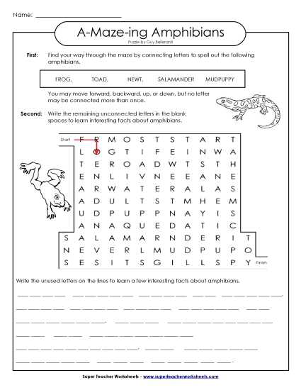 A-Maze-ing Puzzle: Frogs, Toads, Salamanders