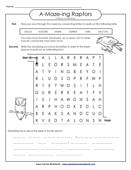A-Maze-ing Puzzle: Raptors (Birds of Prey) A-Maze-ing Puzzle: Raptors (Birds of Prey)