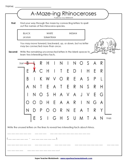 A-Maze-ing Puzzle: Rhinoceroses A-Maze-ing Puzzle: Rhinoceroses