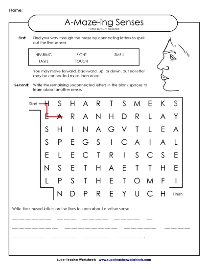 A-Maze-ing Puzzle: Senses (Sharks) A-Maze-ing Puzzle: Senses (Sharks)