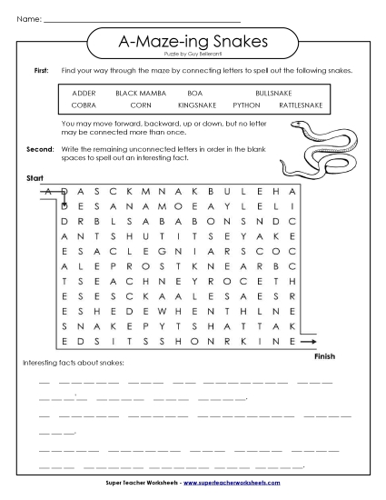 A-Maze-ing Puzzle: Snakes A-Maze-ing Puzzle: Snakes