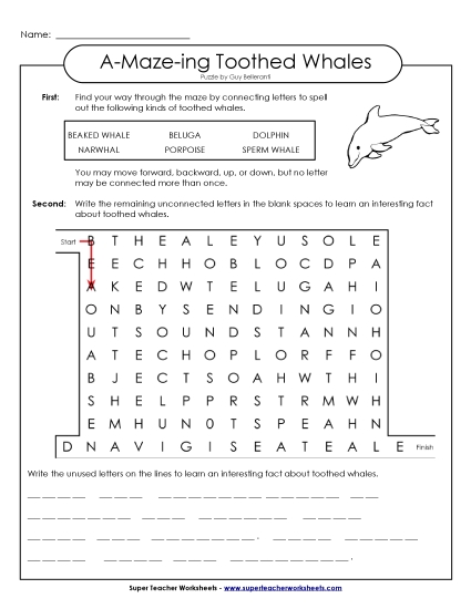A-Maze-ing Puzzle: Toothed Whales A-Maze-ing Puzzle: Toothed Whales