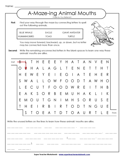 A-Maze-ing Puzzle: Toothless Animals