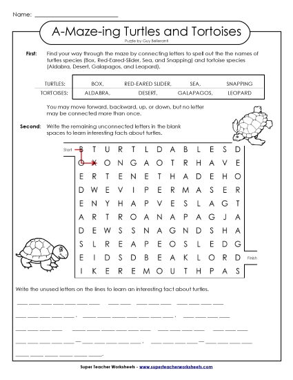 A-Maze-ing Puzzle: Turtles
