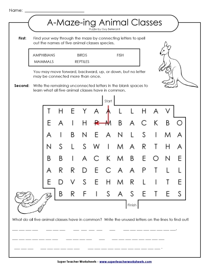A-Maze-ing Puzzle: Vertebrates A-Maze-ing Puzzle: Vertebrates