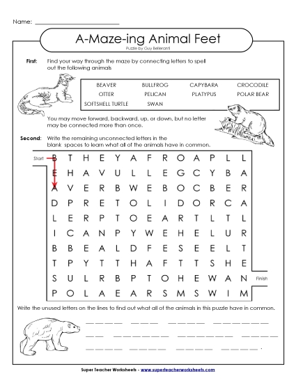 A-Maze-ing Puzzle: Webbed Feet