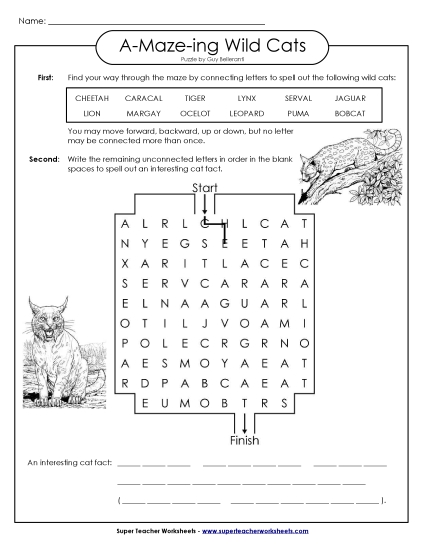 A-Maze-ing Puzzle: Wild Cats A-Maze-ing Puzzle: Wild Cats