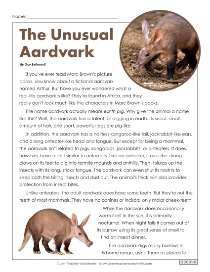 Mammals - Aardvarks