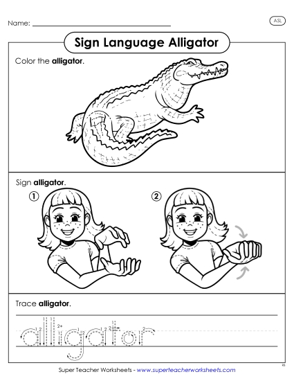 Animals - Alligator (Printable PDF Worksheet)