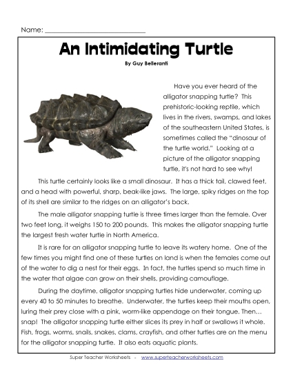 Reptiles - Alligator Snapping Turtle Reptiles - Alligator Snapping Turtle