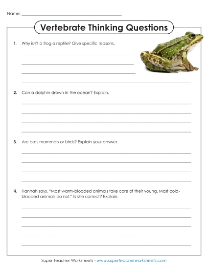 Vertebrate Classification - Animal Classification: Thinking Questions Vertebrate Classification - Animal Classification: Thinking Questions