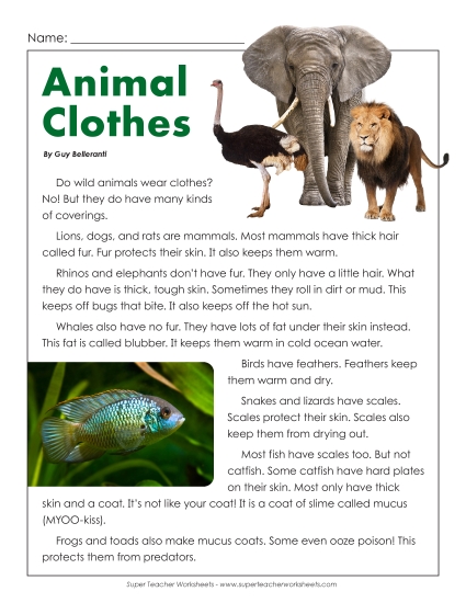 Animal Topics - Animal Clothes Article (Printable PDF Worksheet)