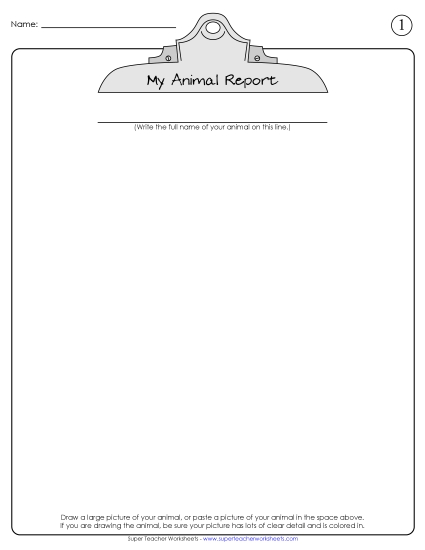 Research Report - Animal Research Project